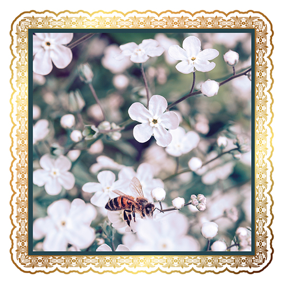 Abeille