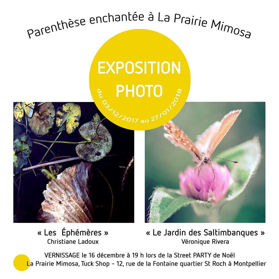 flyer exposition photo