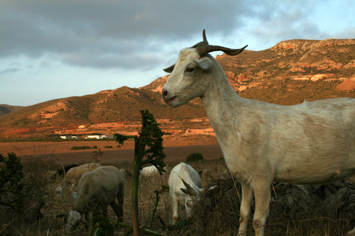 El Pozo de los Frailes - Cabo del Gata - Andalousie - Espagne