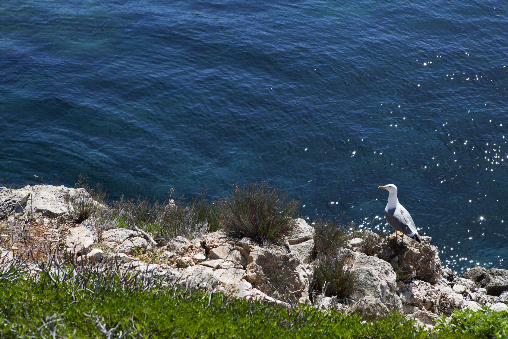 Île de Levanzo, Sicile - Italie