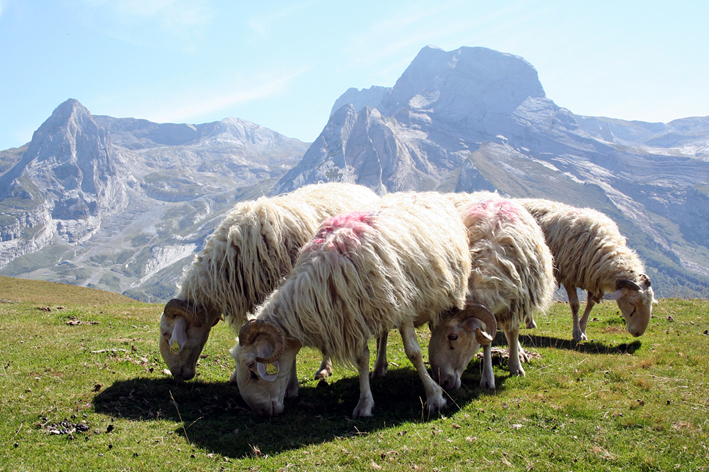 Pyrénées