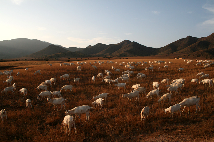 Cabo del Gata - Andalousie - Espagne