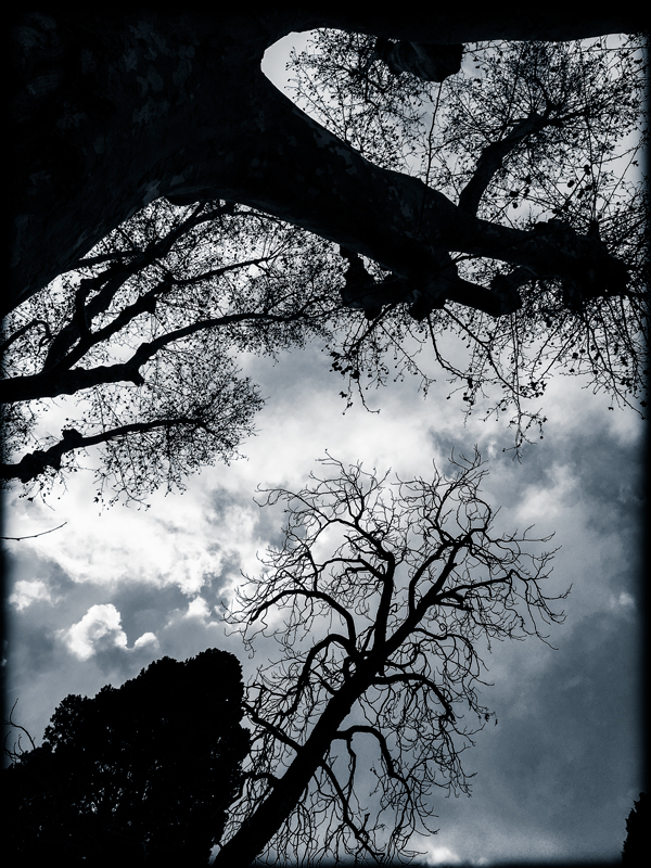 Montpellier, Jardin des Plantes