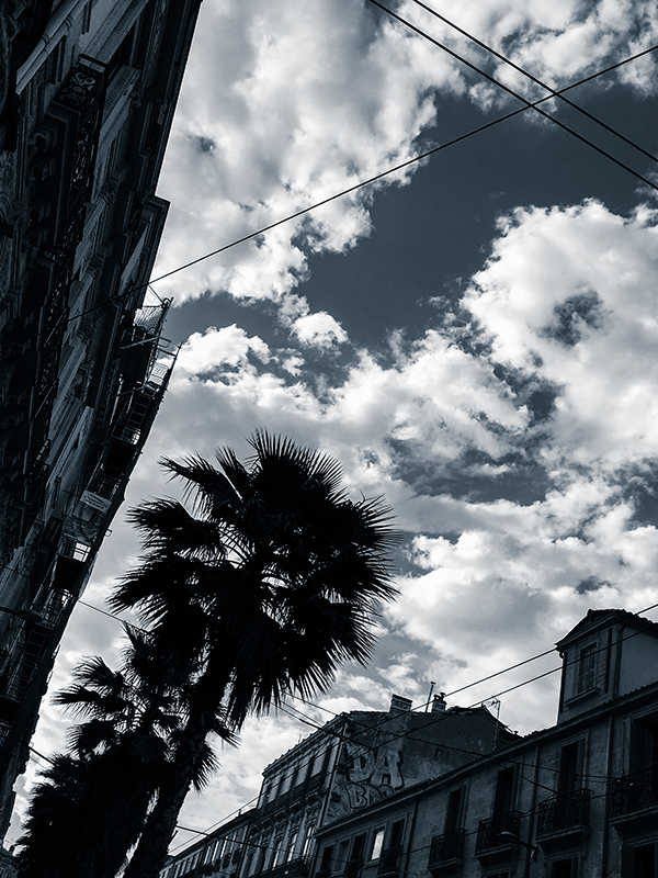 Montpellier, boulevard de l'Observatoire