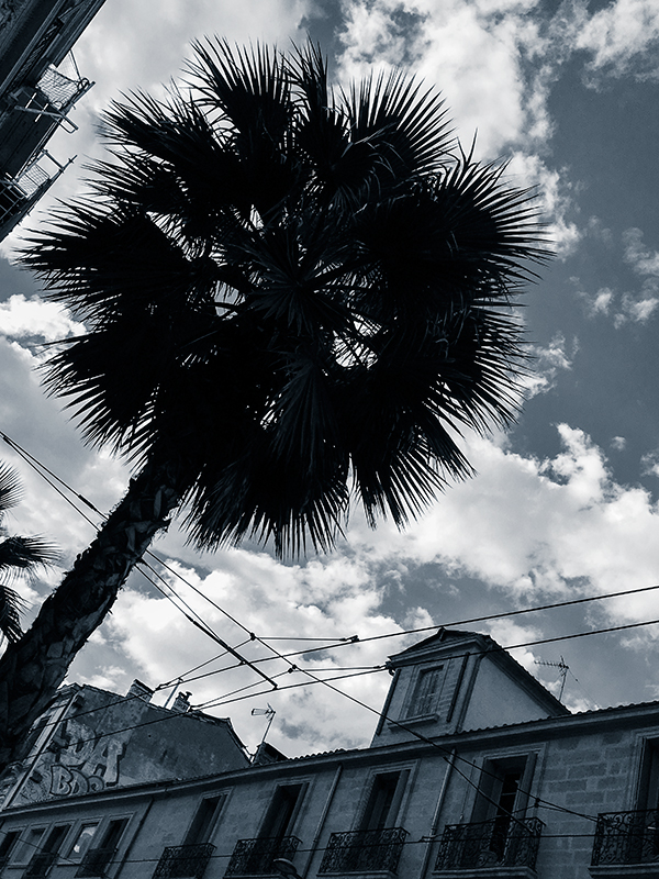 Montpellier, boulevard de l'Observatoire