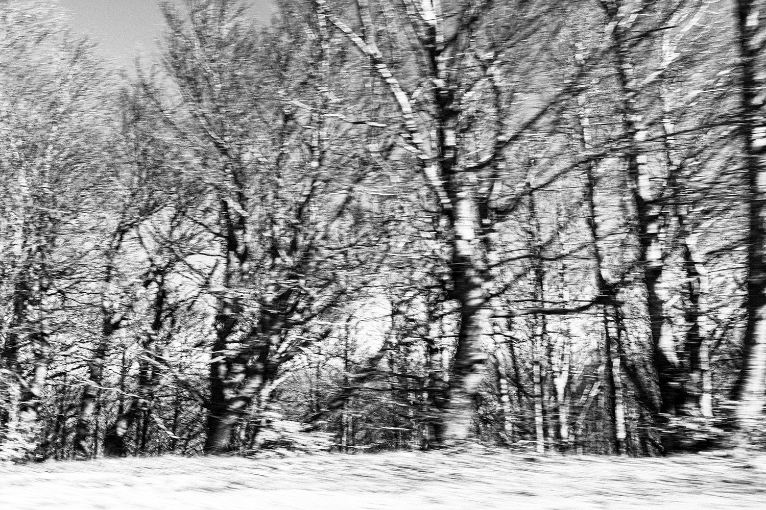 La fuite 1 - Lozère 2025