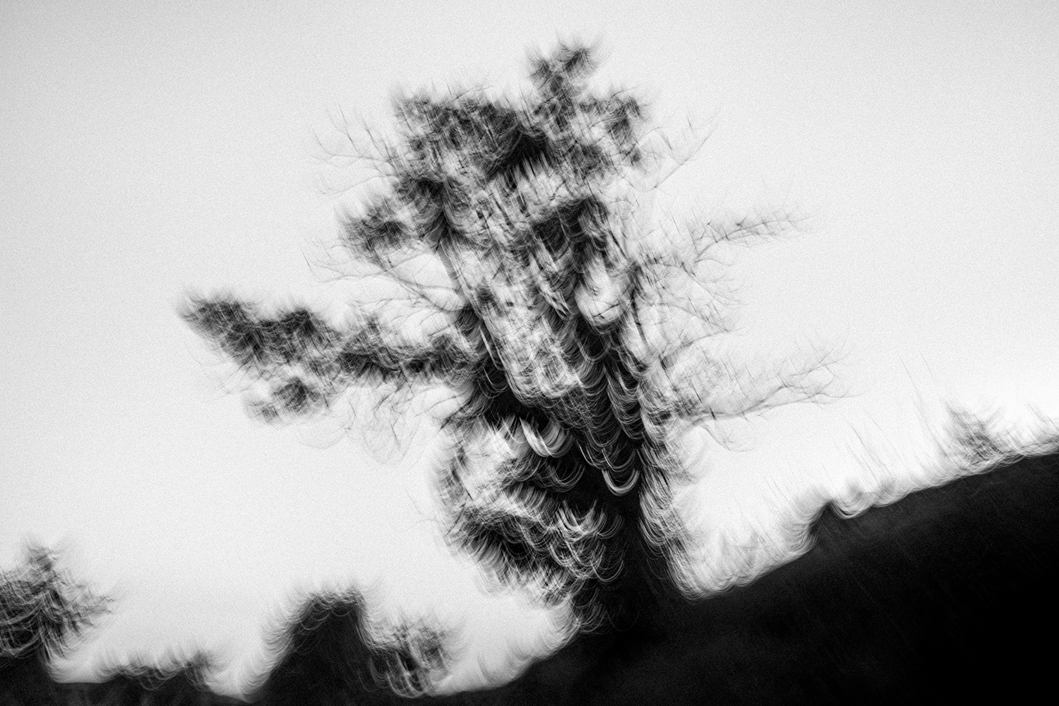 La fuite 2 - Lozère 2020