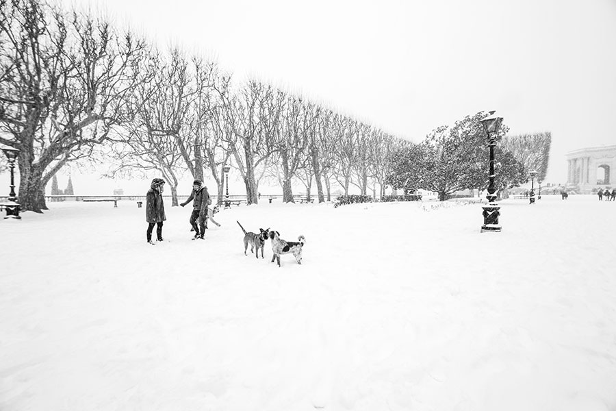 Montpellier sous la neige, Jardins du Peyrou - 28 février 2018