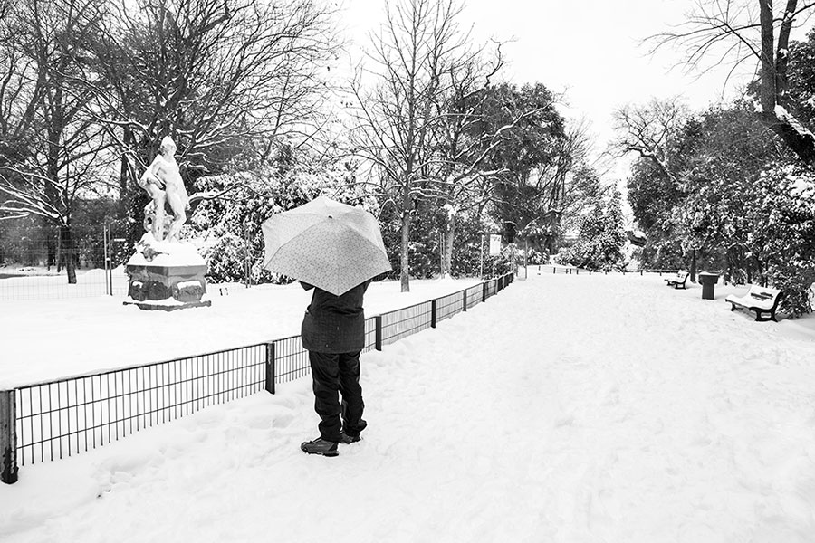 Montpellier sous la neige, Esplanade - 28 février 2018