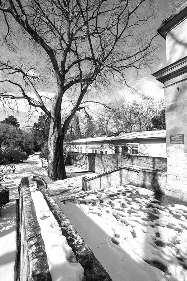 Montpellier sous la neige, Le Jardin des Plantes - 02 mars 2018