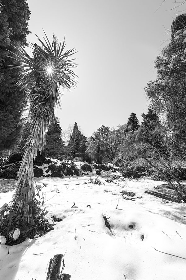 Montpellier sous la neige, Le Jardin des Plantes - 02 mars 2018