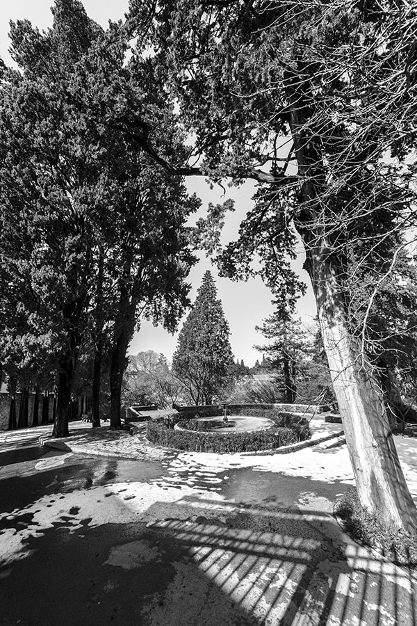 Montpellier sous la neige, Le Jardin des Plantes - 02 mars 2018