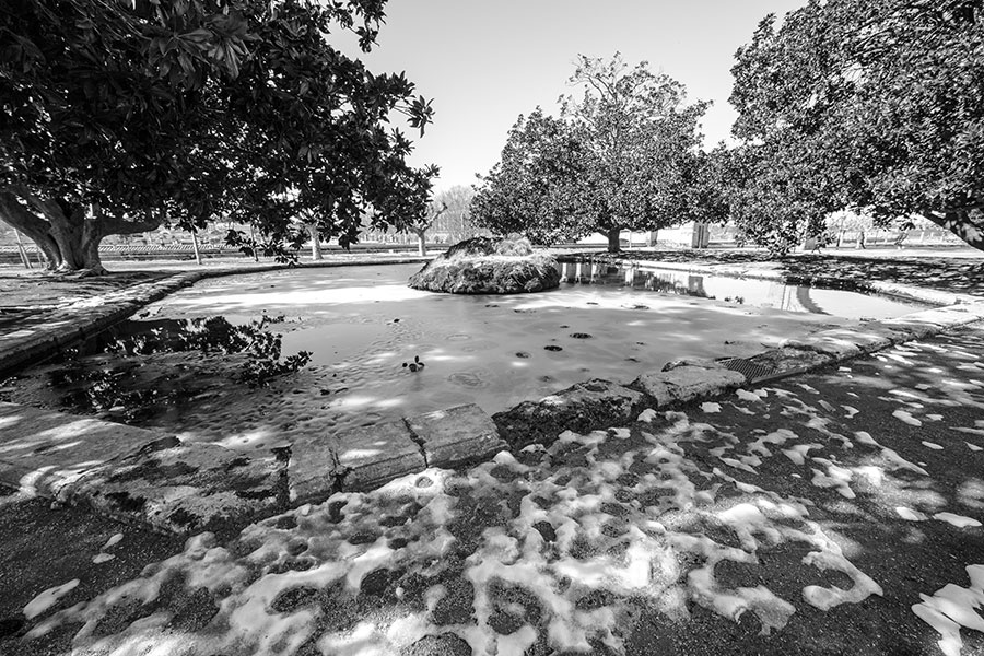 Montpellier sous la neige, Jardins du Peyrou - 02 mars 2018