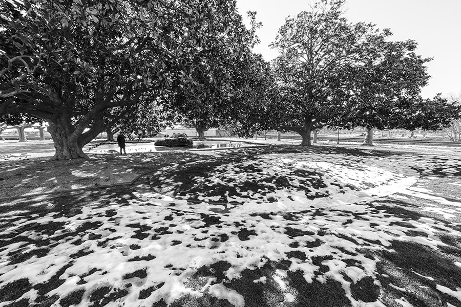 Montpellier sous la neige, Jardins du Peyrou - 02 mars 2018