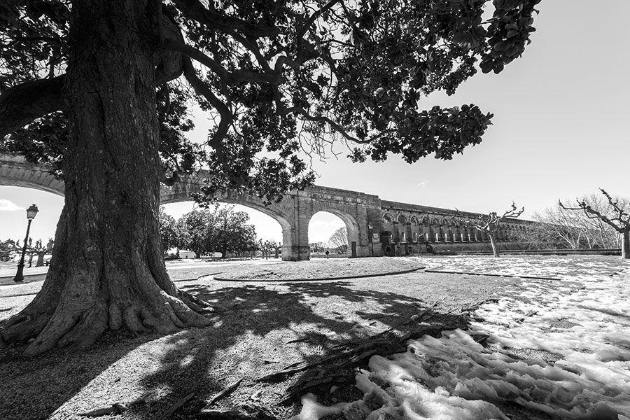 Montpellier sous la neige, Jardins du Peyrou - 02 mars 2018