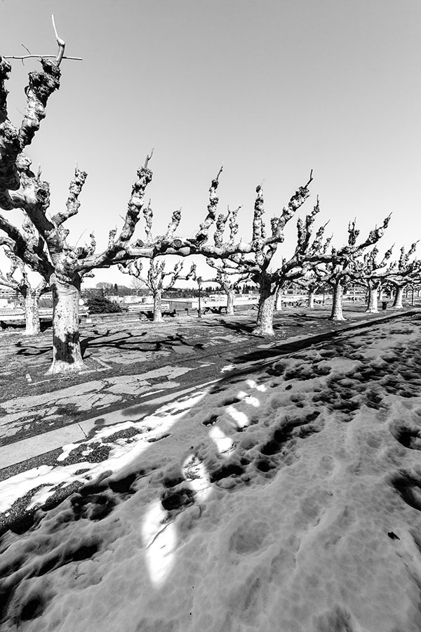 Montpellier sous la neige, Jardins du Peyrou - 02 mars 2018