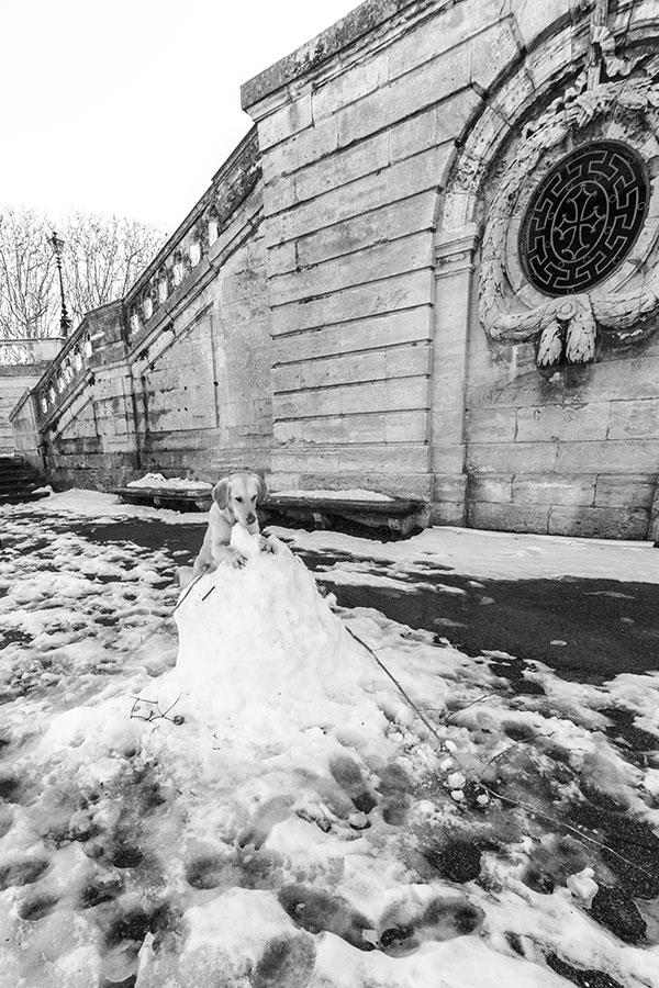 Montpellier sous la neige, Jardins du Peyrou - 02 mars 2018