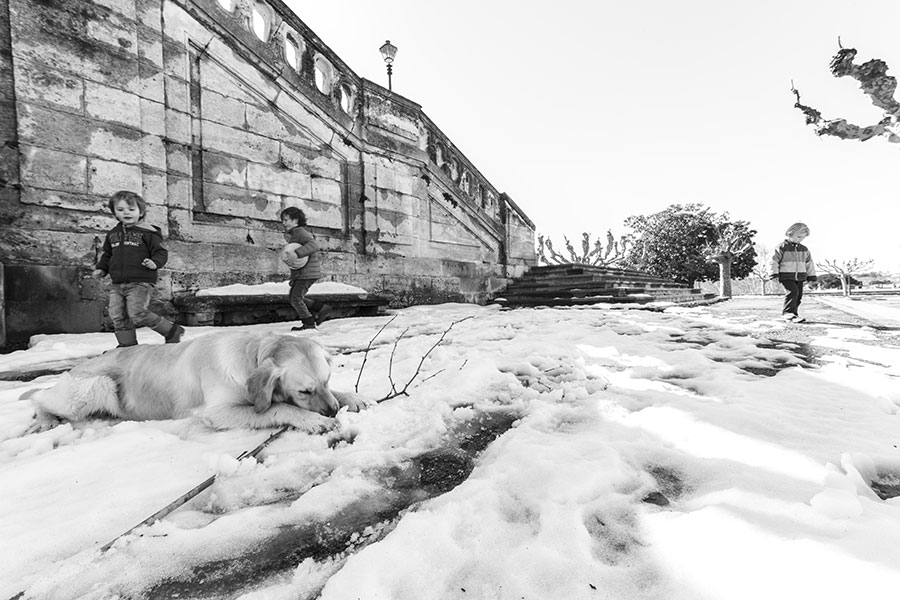 Montpellier sous la neige, Jardins du Peyrou - 02 mars 2018