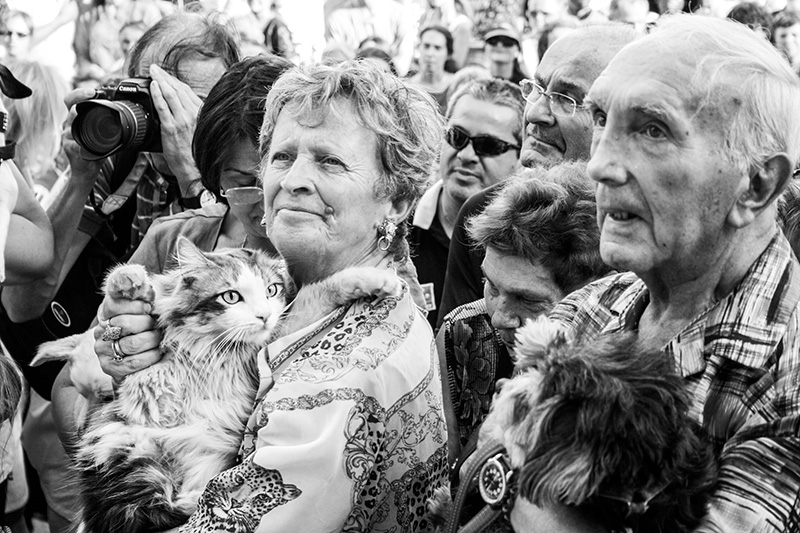 Montpellier, Fête de la Saint Roch, Bénédiction des animaux de compagnie 16/08/2010