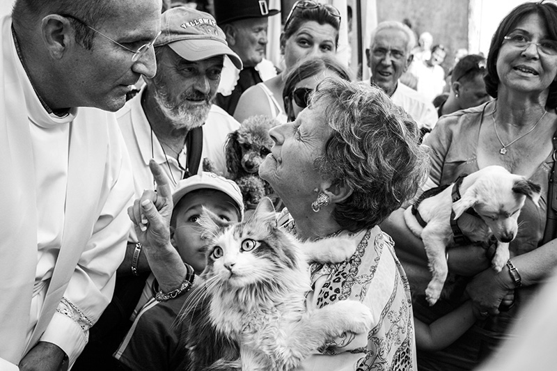 Montpellier, Fête de la Saint Roch, Bénédiction des animaux de compagnie 16/08/2010