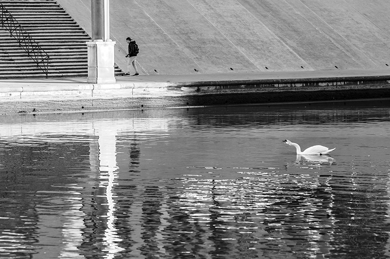 Rives du Lez - Montpellier