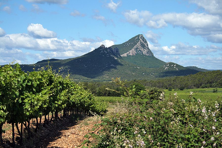 Le Pic St Loup - Hérault - Languedoc Roussillon