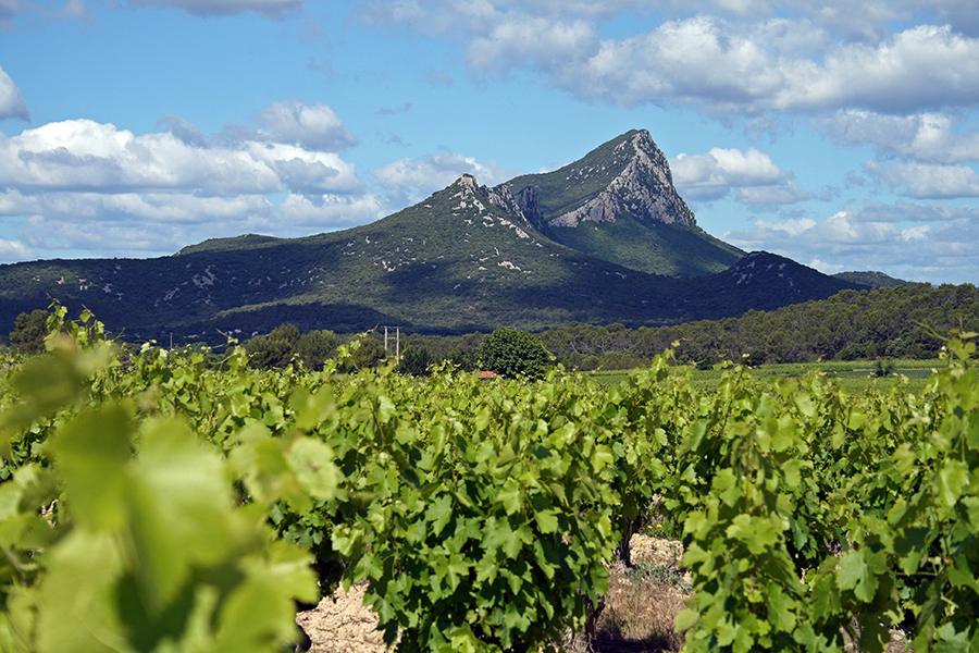 Le Pic St Loup - Hérault - Languedoc Roussillon