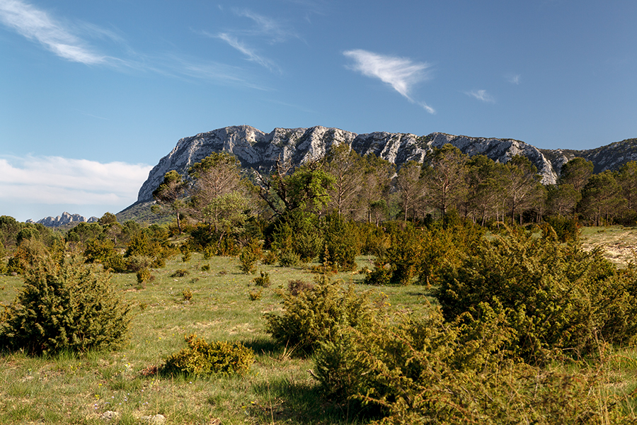 vers Valflaunès - Hérault - Languedoc Roussillon