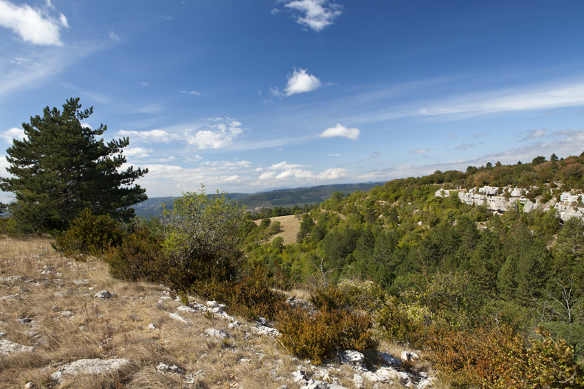 Cirque du bout du monde, St Etienne de Courgas - Larzac - Languedoc Roussillon - Hérault