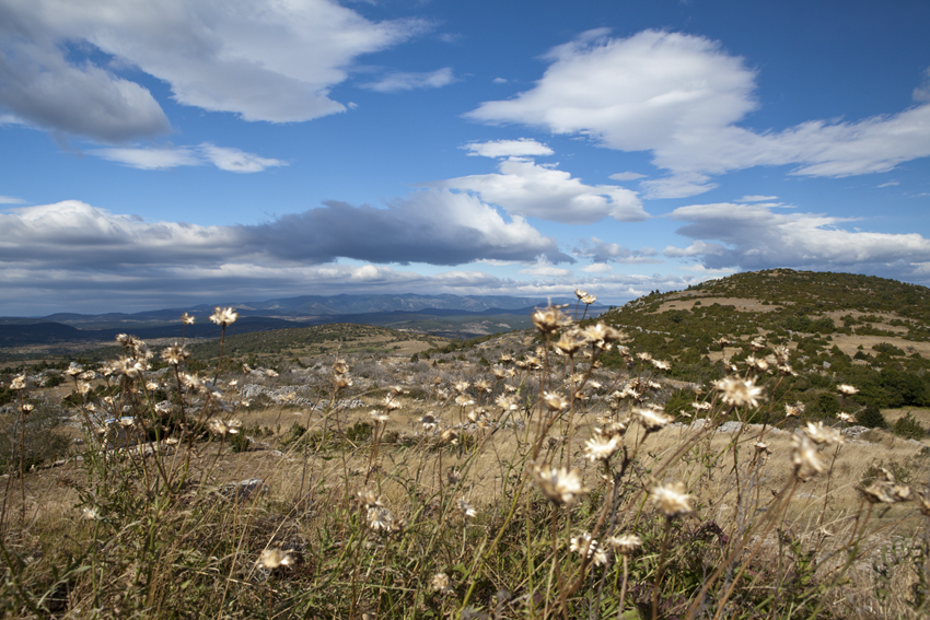 St Michel - Larzac - Hérault