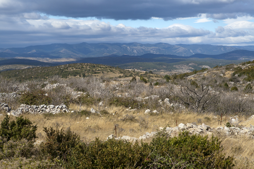 St Michel - Larzac - Hérault