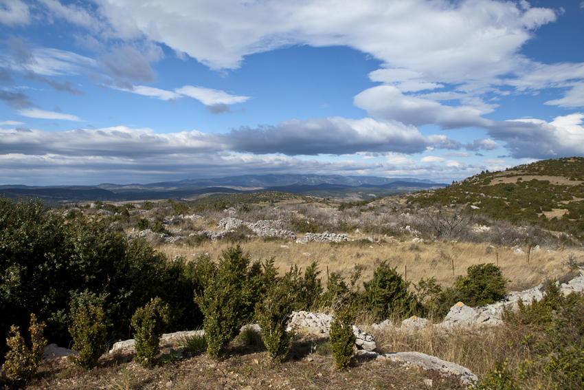 St Michel - Larzac - Hérault