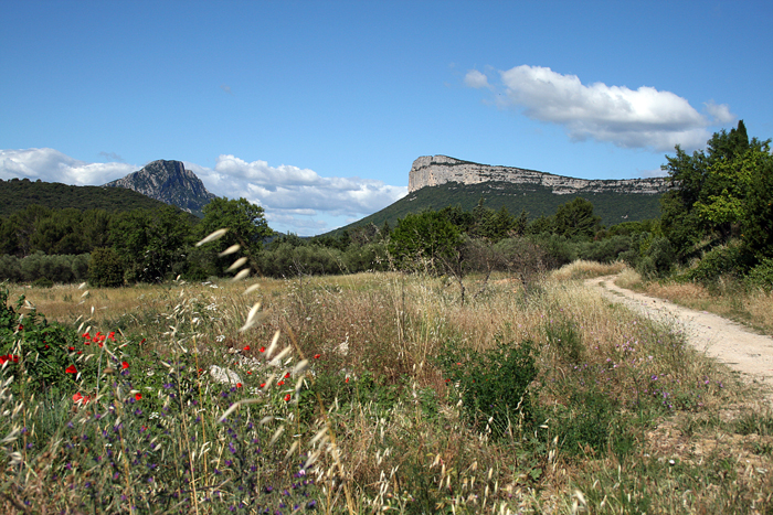 Le Pic St Loup et la Chaîne de L'Hortus - Hérault - Languedoc Roussillon