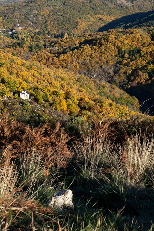 Larzac - Hérault