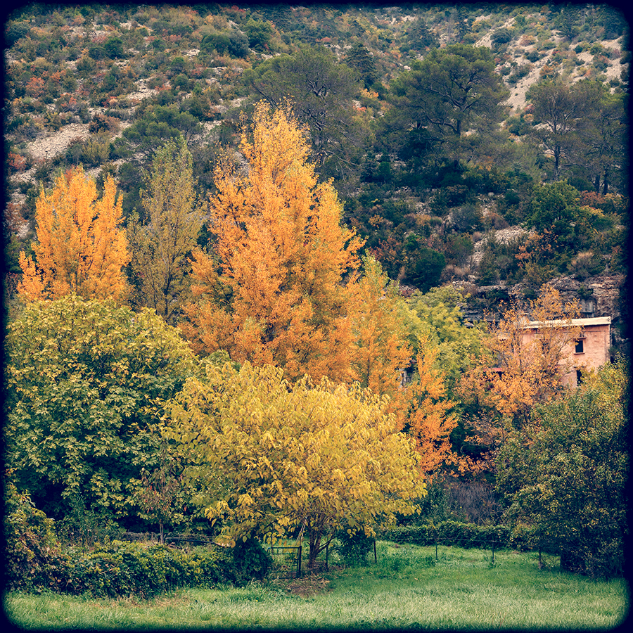 Navacelles - Hérault - Languedoc Roussillon