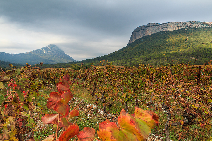 Le Pic St Loup et la Chaîne de L'Hortus - Hérault - Languedoc Roussillon