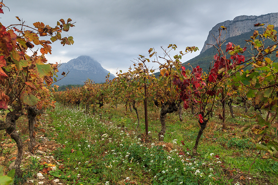 Le Pic St Loup et la Chaîne de L'Hortus - Hérault - Languedoc Roussillon