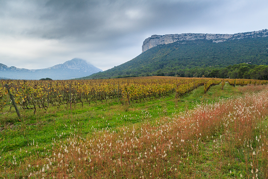 Le Pic St Loup et la Chaîne de L'Hortus - Hérault - Languedoc Roussillon