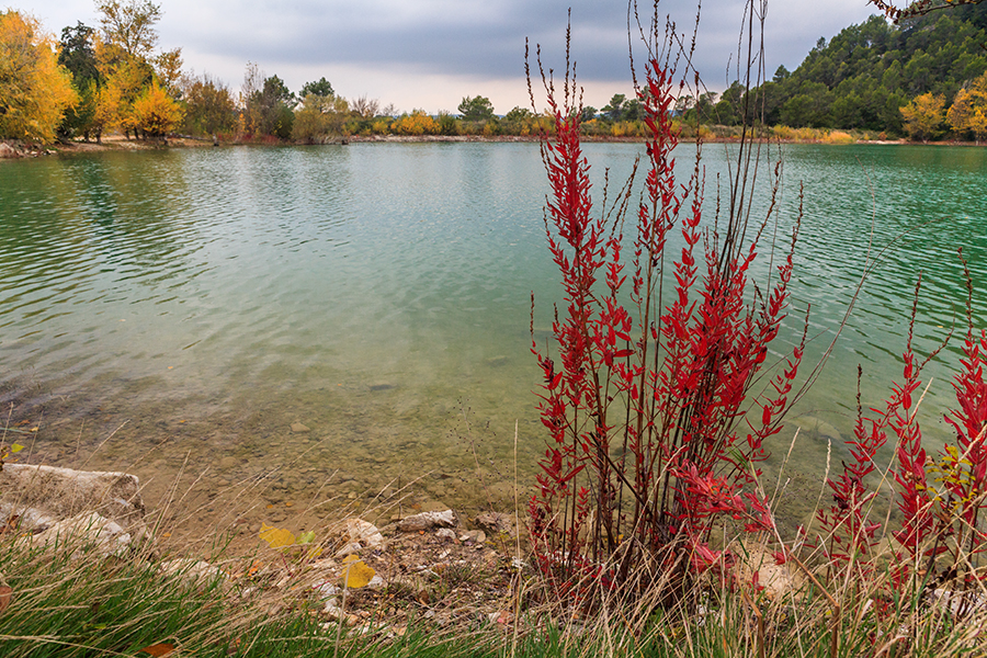 Lac de Cecelès - Hérault - Languedoc Roussillon