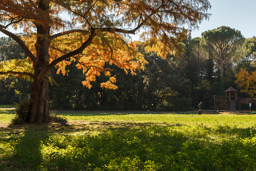 Parc Fontcolombe - Montpellier - Hérault - Languedoc Roussillon