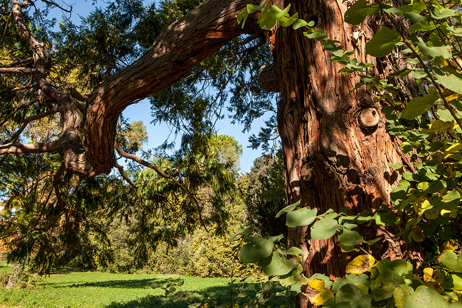 Parc Fontcolombe - Montpellier - Hérault - Languedoc Roussillon