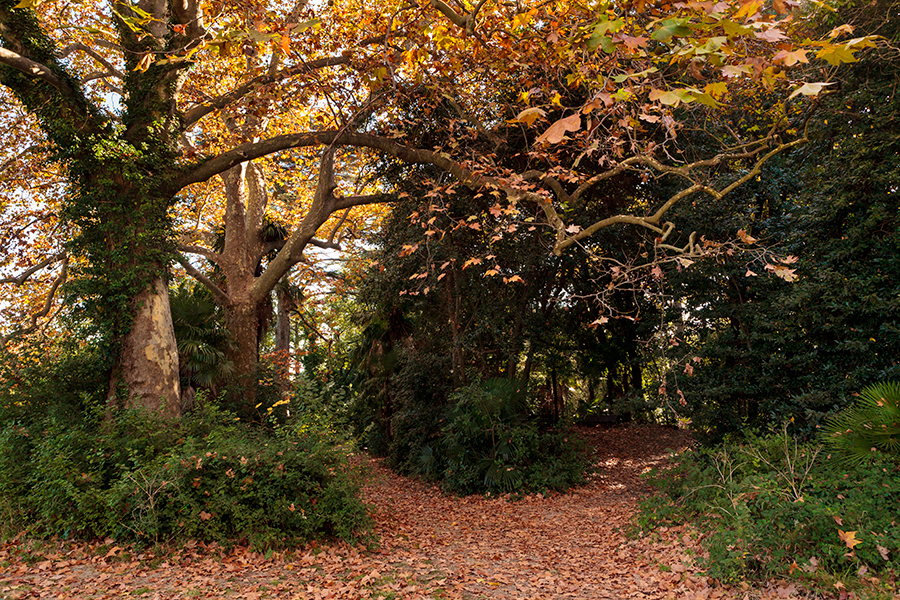 Parc Fontcolombe - Montpellier - Hérault - Languedoc Roussillon