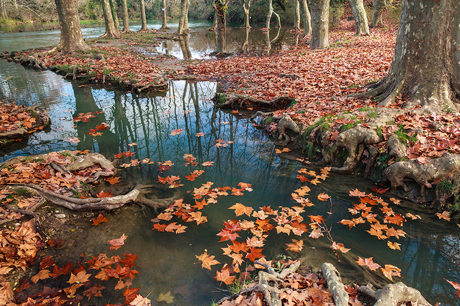 Source du Lez - Les Matelles - Hérault - Languedoc Roussillon