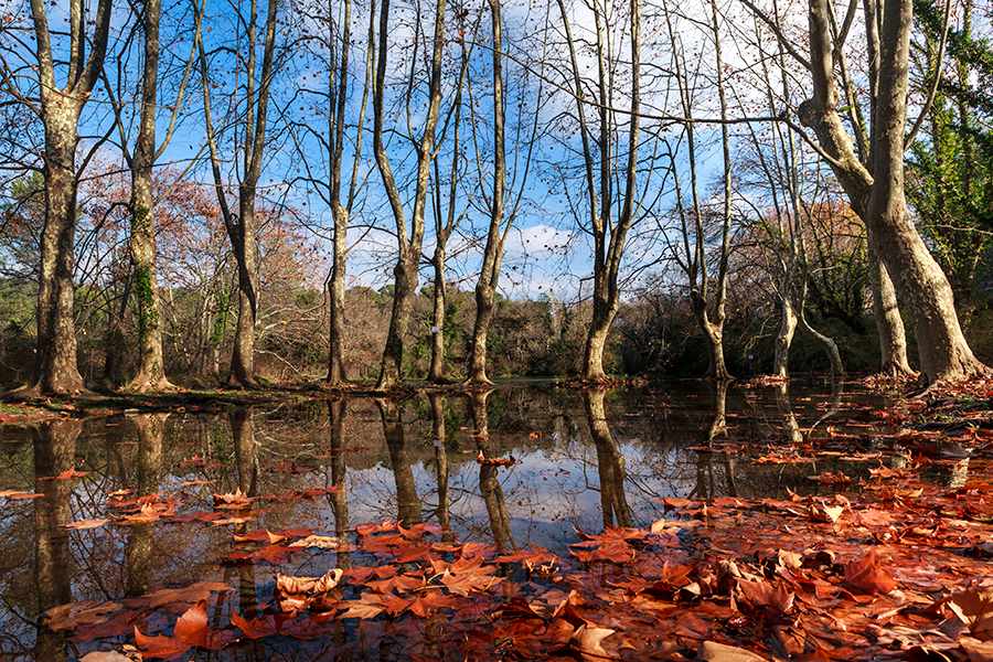 Source du Lez - Les Matelles - Hérault - Languedoc Roussillon