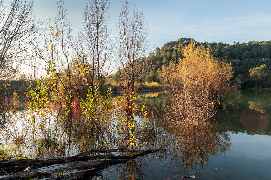 Lac de Cecelès - Hérault - Languedoc Roussillon