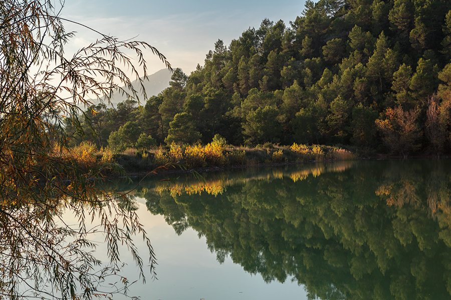 Lac de Cecelès - Hérault - Languedoc Roussillon