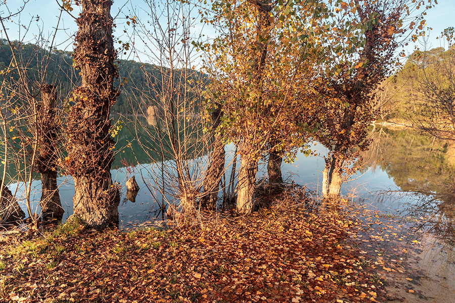 Lac de Cecelès - Hérault - Languedoc Roussillon