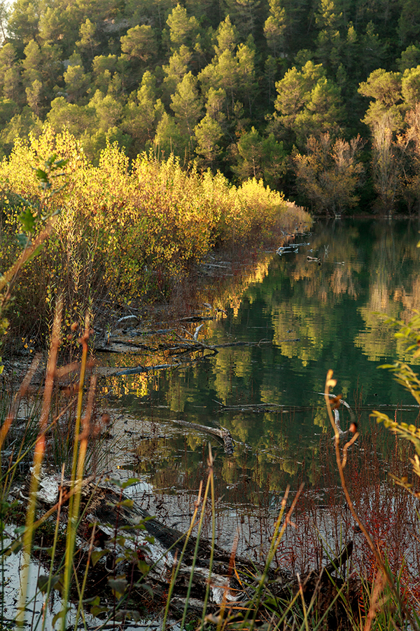 Lac de Cecelès - Hérault - Languedoc Roussillon