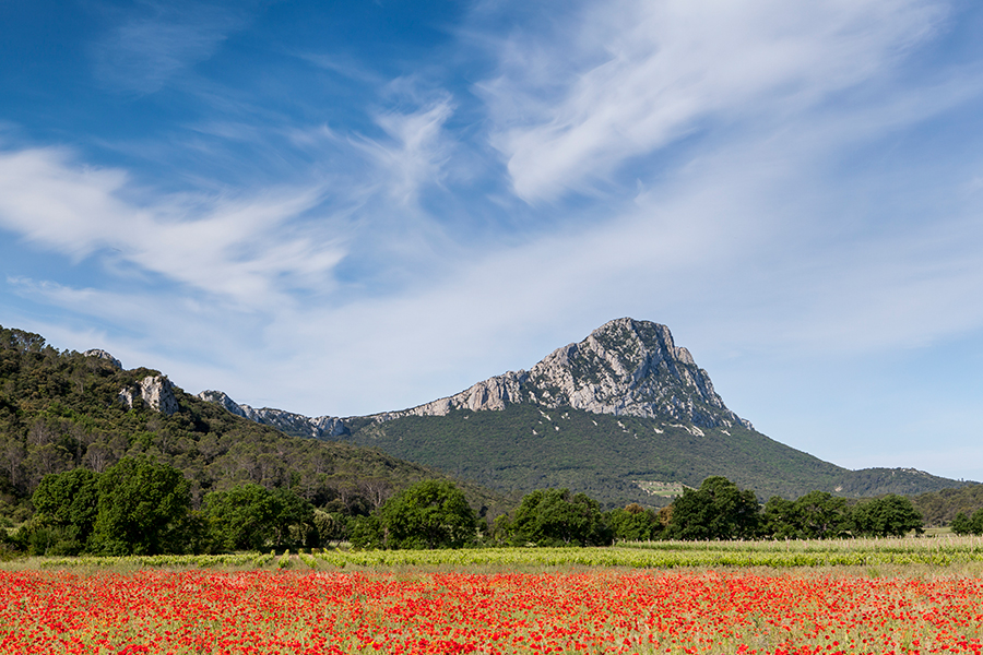 Le Pic St Loup - Hérault - Languedoc Roussillon