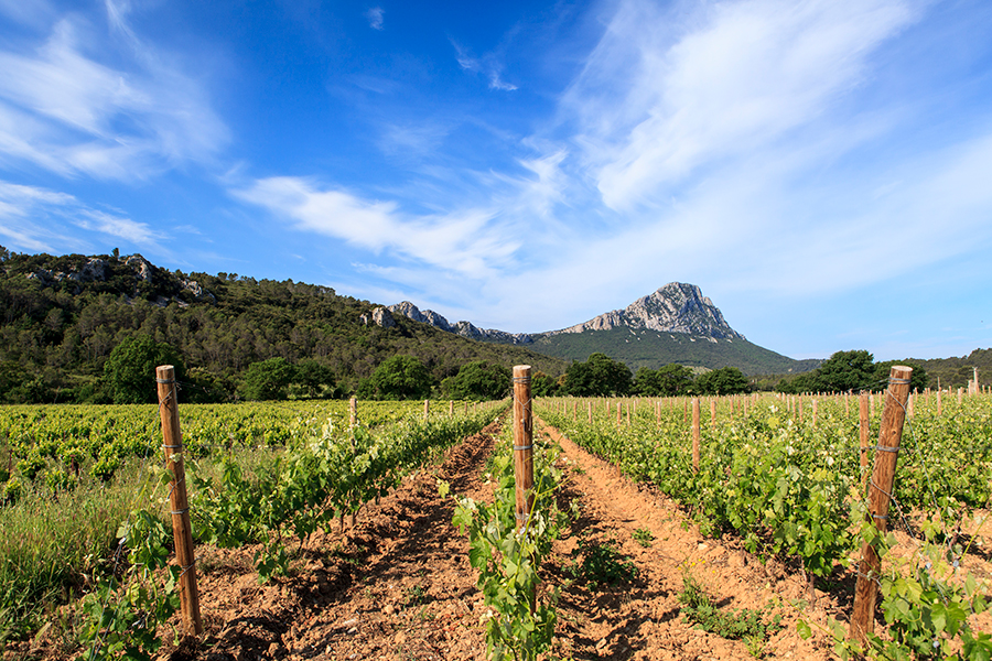 Le Pic St Loup - Hérault - Languedoc Roussillon